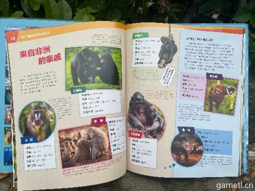 《神射手秘籍:灌木林动物图鉴大揭秘》 《神射手秘籍:灌木林动物图鉴大揭秘》